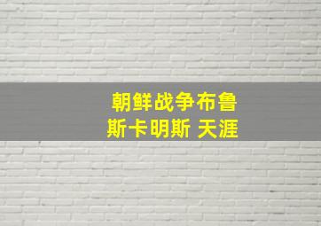 朝鲜战争布鲁斯卡明斯 天涯